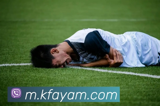 乐竞体育服务体系